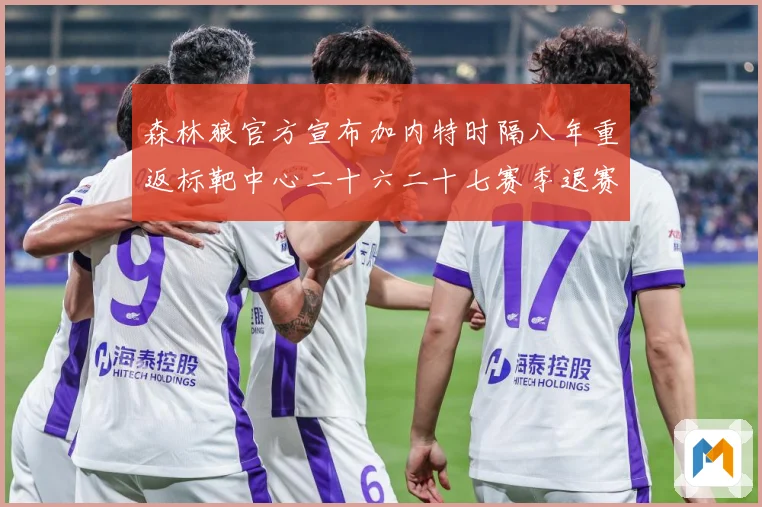森林狼官方宣布加内特时隔八年重返标靶中心二十六二十七赛季退赛场复盘：最新赛事动态与深度分析